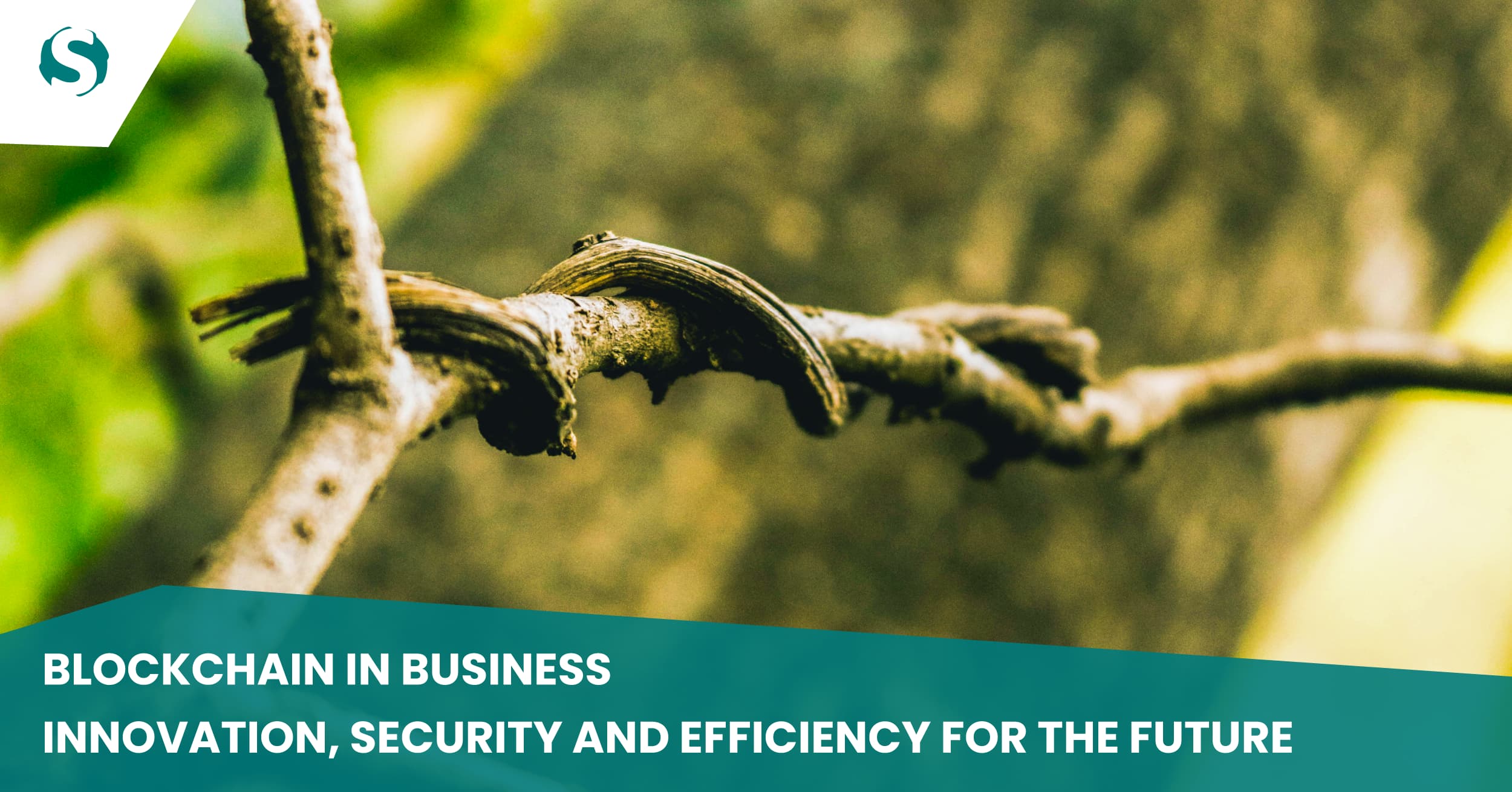 Blockchain in business - Innovation, security and efficiency for the ...