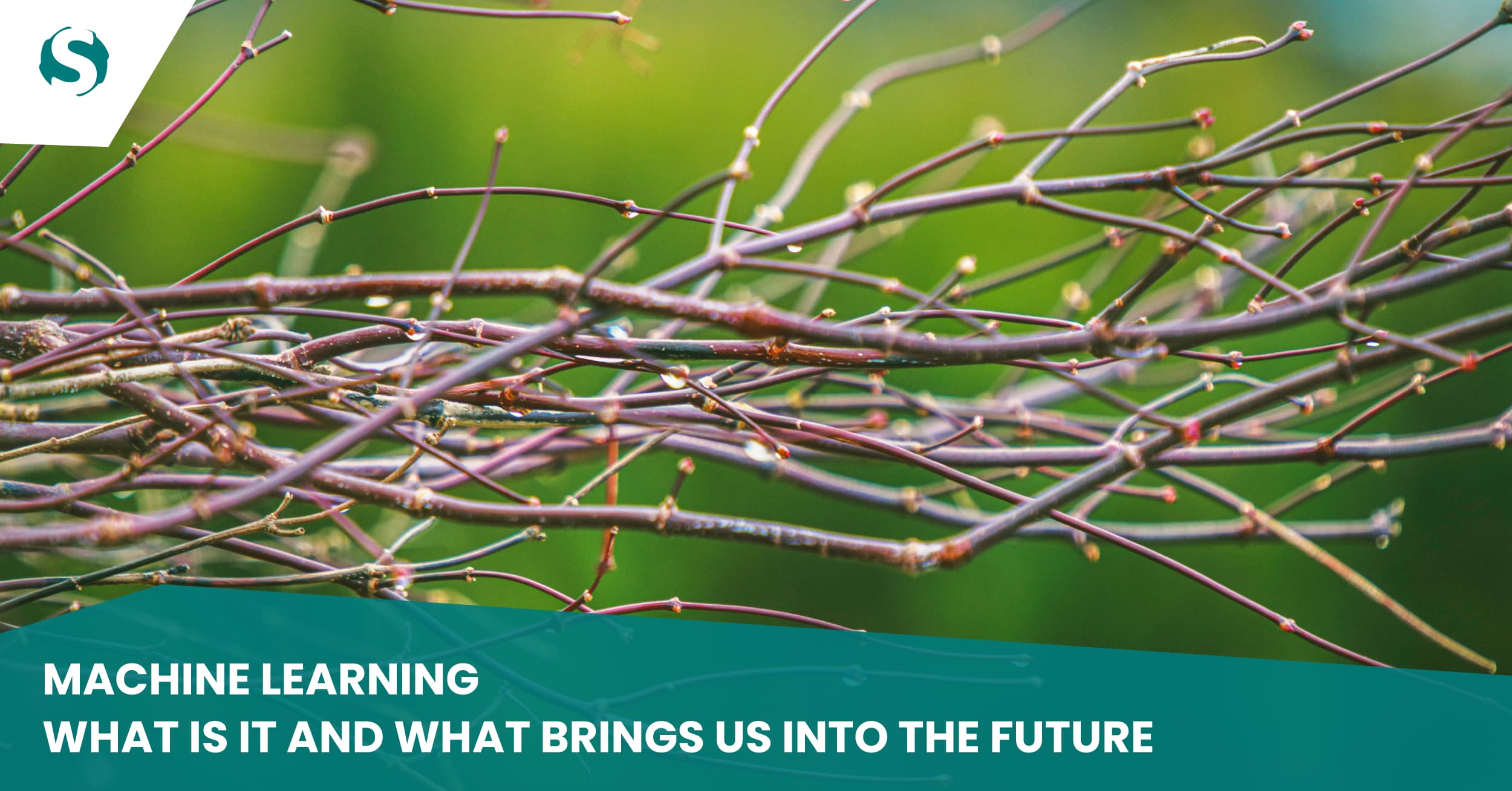 Machine Learning – What is it and what brings us into the future | Sysmatch