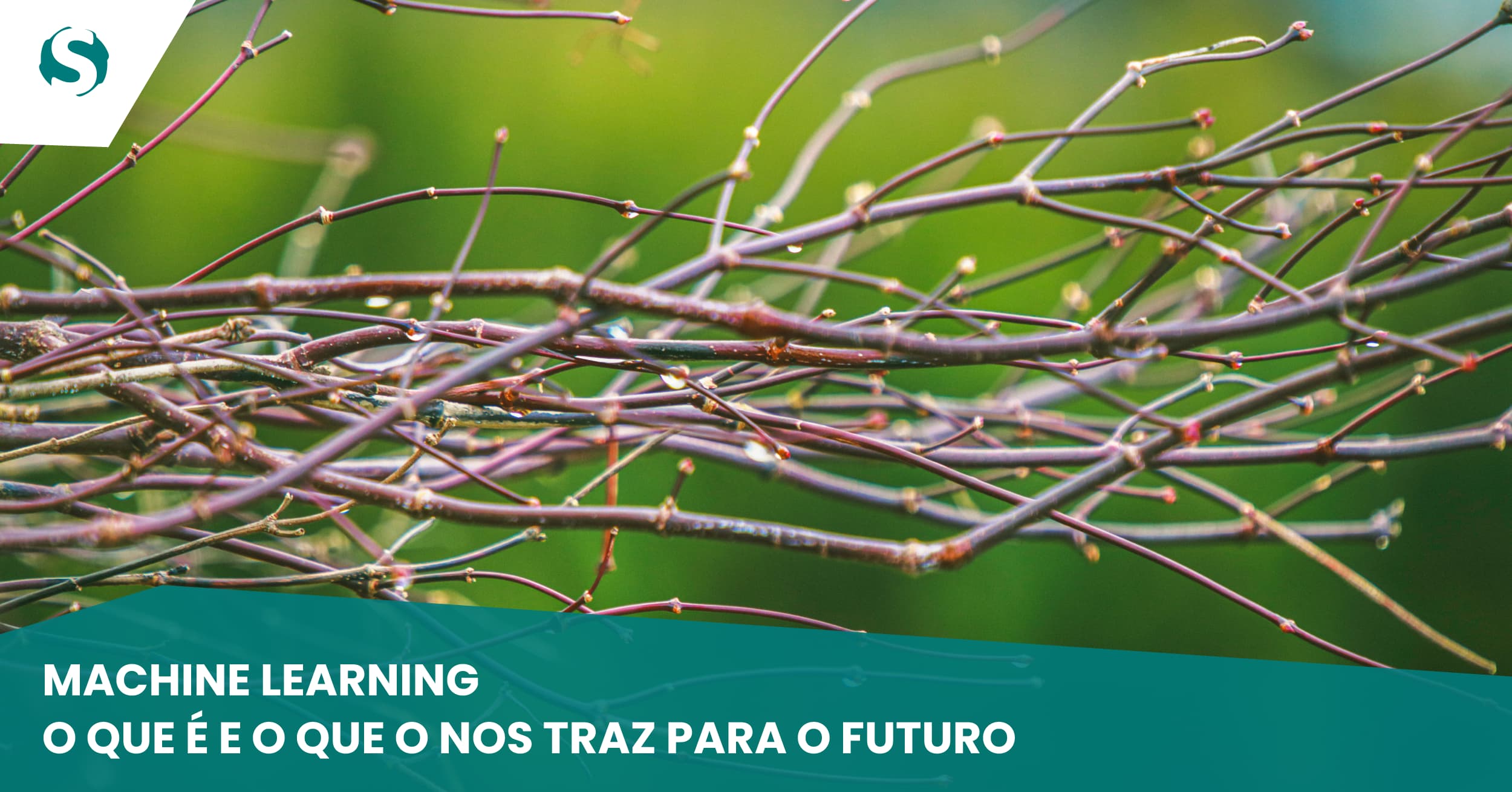 Machine Learning – O que é e o que o nos traz para o futuro | Sysmatch