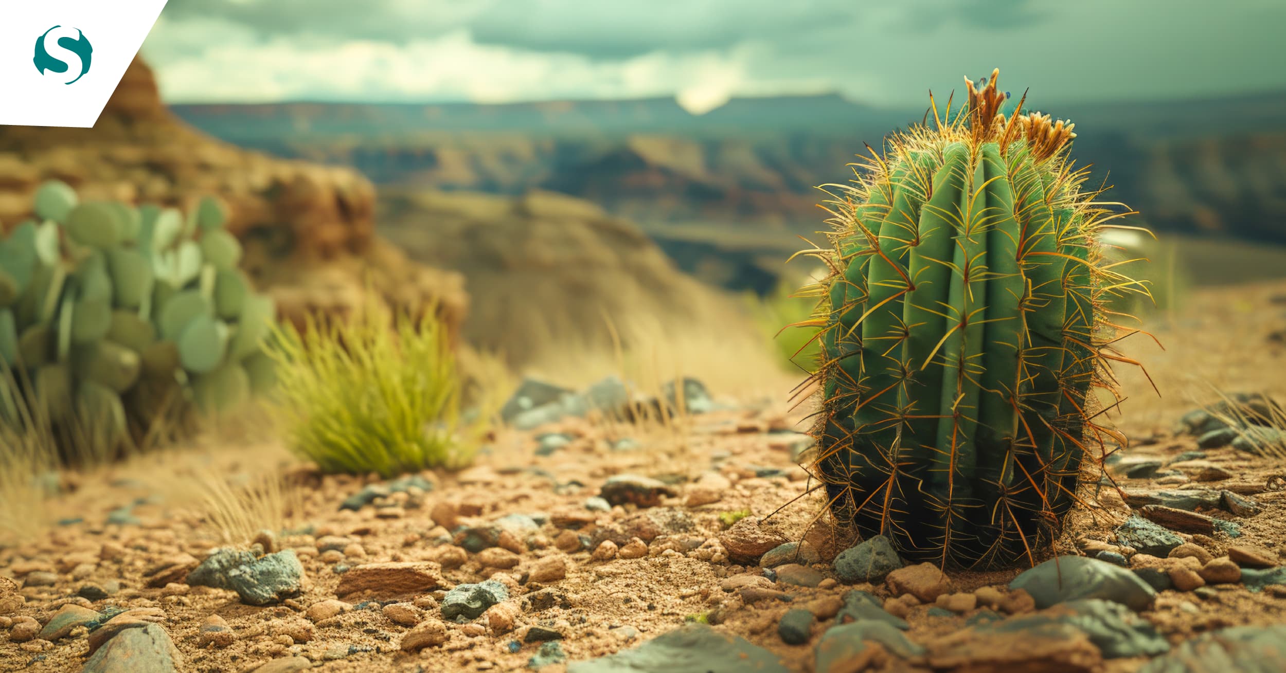 RPG/AS400: Como esta tecnologia está a acompanhar o avanço digital