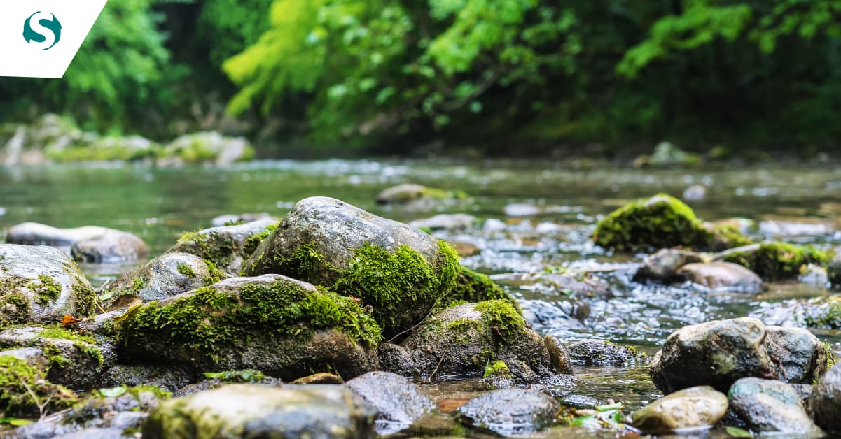 O papel de COBOL na infraestrutura bancária