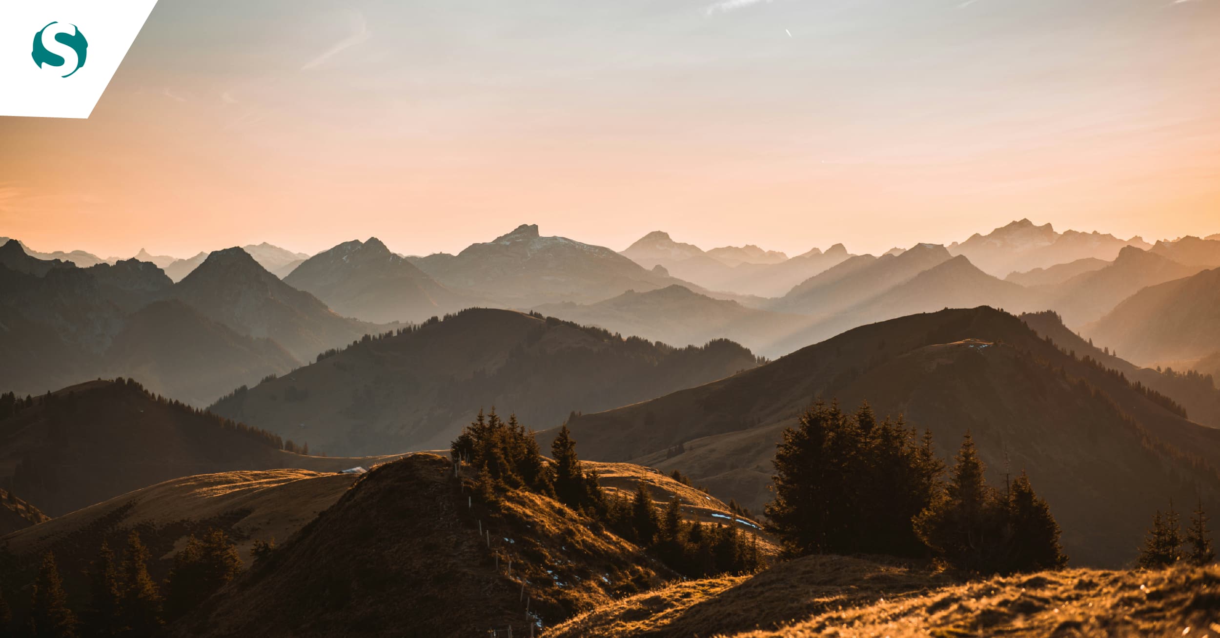 Senhas fortes e seguras: guia prático para reforçar a tua segurança online